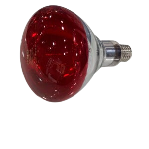 Ampoule infrarouge