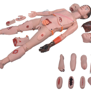 Mannequin d&rsquo;entrainement et soins en traumatologie