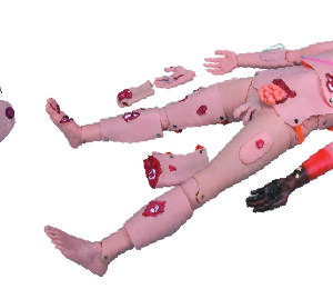 Mannequin d&rsquo;entrainement et soins en traumatologie