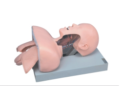 MANNEQUIN DE FORMATION A L&rsquo;INTUBATION DE  LA TRACHEE MARQUE STARCARE