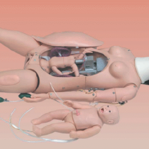 Mannequin de formation en obstétrique